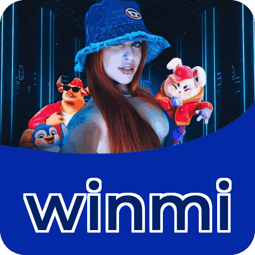 Interface winmi
